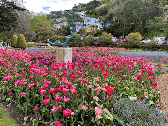 Tulips Botanic gardens